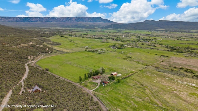 10479 50th Rd, Mesa, CO 81643 - photo 42