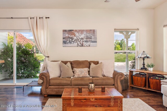 1489 Teeters Ln, Glenwood Springs, CO 81601 - living room featuring wood finished floors, ceiling fan, and plenty of natural light