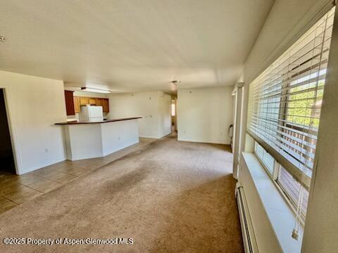 612 River View Dr Unit 804, New Castle, CO 81647 - unfurnished living room with light carpet and baseboard heating