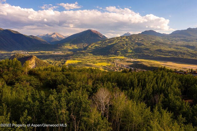 980 S Starwood Dr, Aspen, CO 81611 - photo 13
