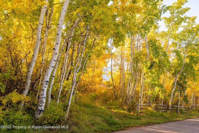 980 S Starwood Dr, Aspen, CO 81611 - photo 10