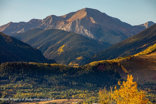 980 S Starwood Dr, Aspen, CO 81611 - photo 8