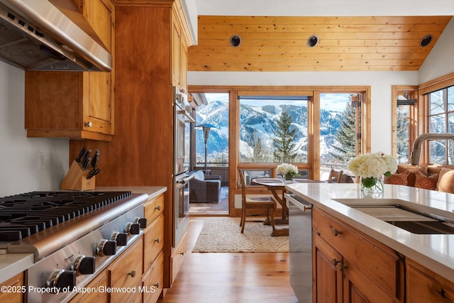 kitchen featuring sink, wood ceiling, ventilation hood, a wealth of natural light, and stainless steel appliances