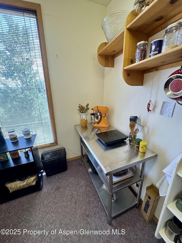 1789 Medicine Bow Rd, Aspen, CO 81611 - home office with plenty of natural light and carpet