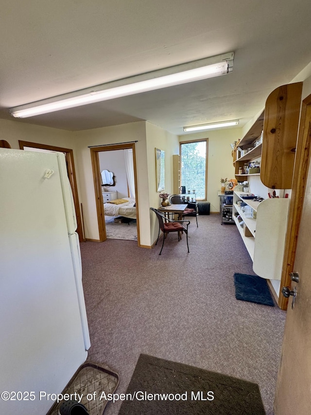 1789 Medicine Bow Rd, Aspen, CO 81611 - office with carpet