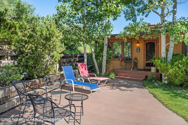 1789 Medicine Bow Rd, Aspen, CO 81611 - view of patio