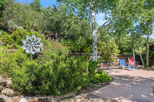1789 Medicine Bow Rd, Aspen, CO 81611 - view of patio featuring stairway