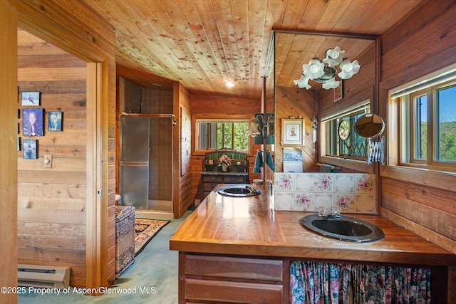 1789 Medicine Bow Rd, Aspen, CO 81611 - bathroom featuring wood walls, wooden ceiling, vanity, a shower stall, and baseboard heating