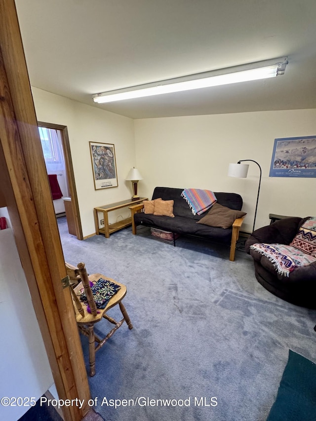 1789 Medicine Bow Rd, Aspen, CO 81611 - view of carpeted living room
