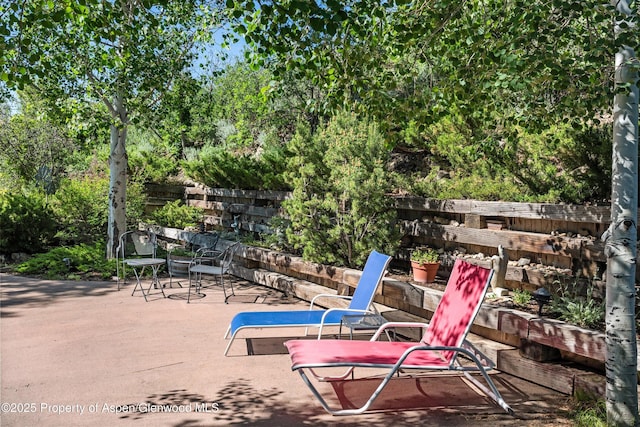 1789 Medicine Bow Rd, Aspen, CO 81611 - view of patio