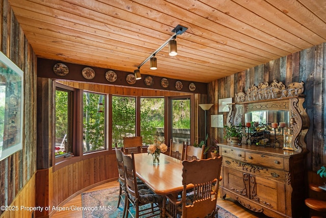 1789 Medicine Bow Rd, Aspen, CO 81611 - dining room featuring plenty of natural light, wood ceiling, wooden walls, wood finished floors, and track lighting