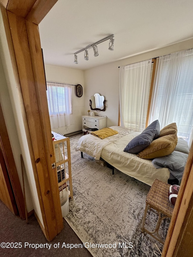 1789 Medicine Bow Rd, Aspen, CO 81611 - carpeted bedroom with rail lighting