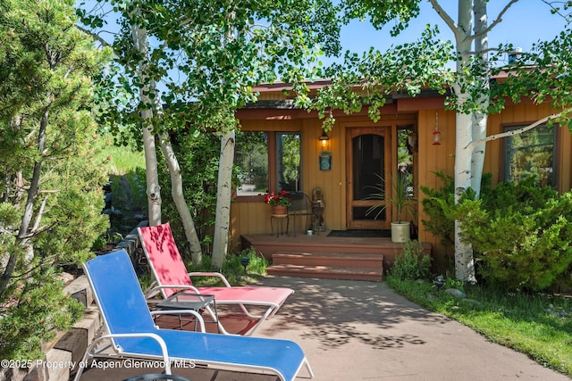 1789 Medicine Bow Rd, Aspen, CO 81611 - view of patio