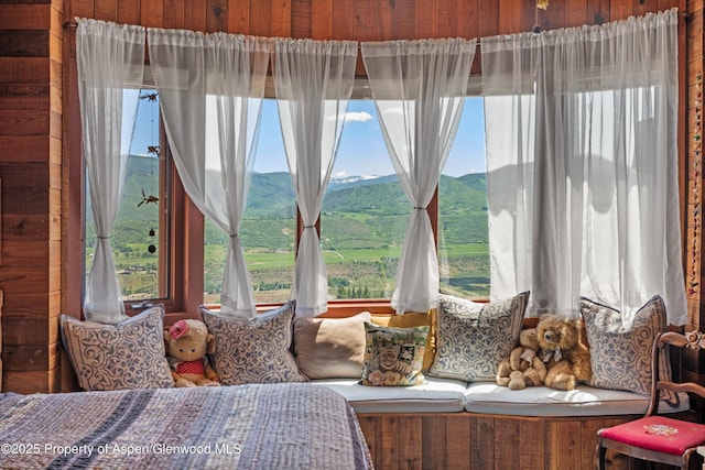 1789 Medicine Bow Rd, Aspen, CO 81611 - bedroom with multiple windows and a mountain view