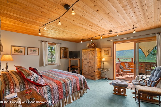 1789 Medicine Bow Rd, Aspen, CO 81611 - bedroom featuring rail lighting, access to outside, carpet floors, and wood ceiling