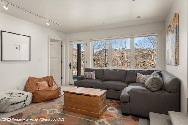 172 Deer Ridge Ln, Snowmass Village, CO 81615 - living room featuring rail lighting and healthy amount of natural light