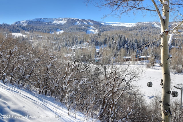 172 Deer Ridge Ln, Snowmass Village, CO 81615 - view of mountain backdrop with a forest