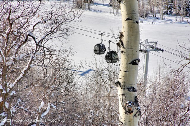 172 Deer Ridge Ln, Snowmass Village, CO 81615 - exterior view