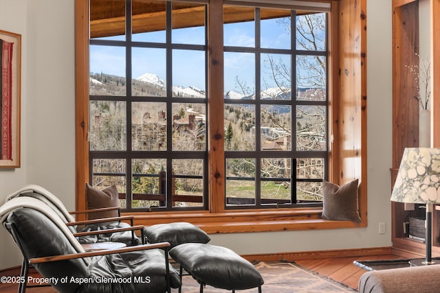 172 Deer Ridge Ln, Snowmass Village, CO 81615 - detailed view of a mountain backdrop and baseboards