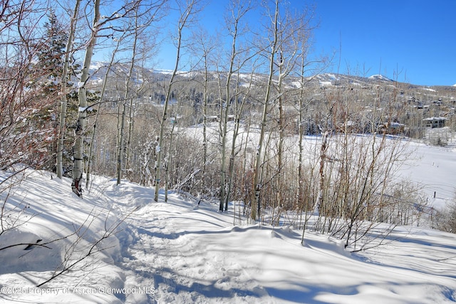 172 Deer Ridge Ln, Snowmass Village, CO 81615 - mountain view