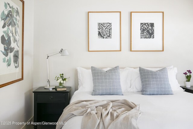 172 Deer Ridge Ln, Snowmass Village, CO 81615 - view of bedroom