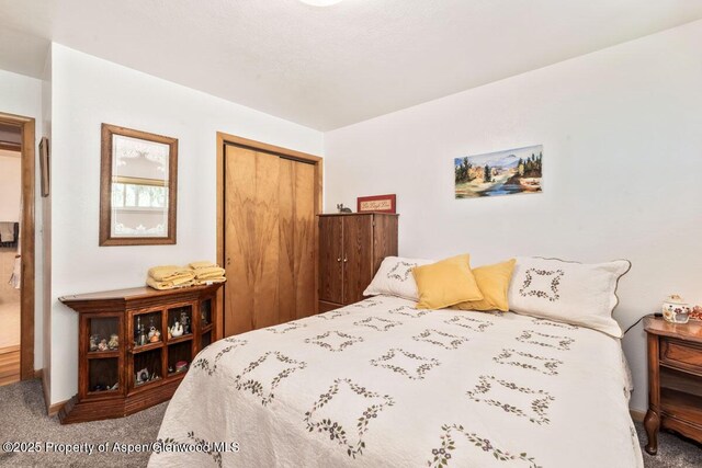 bedroom featuring carpet flooring and a closet