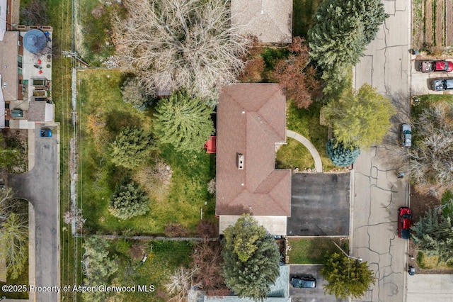 bird's eye view
