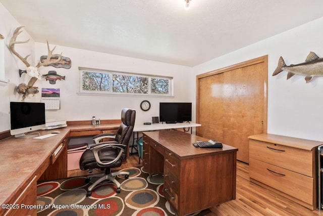 office featuring light wood finished floors