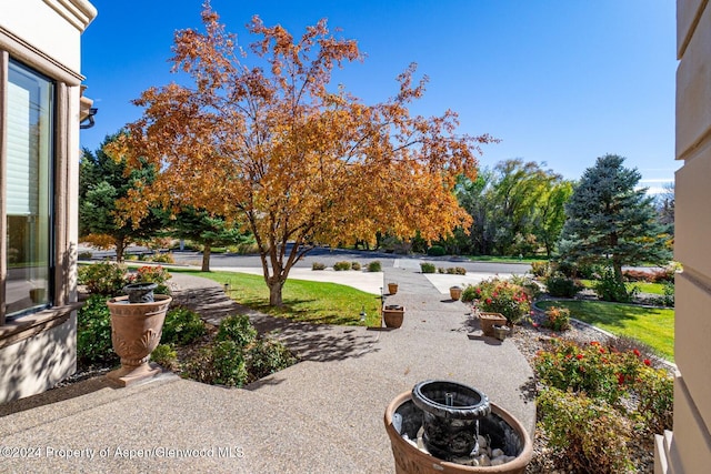 view of yard with a patio