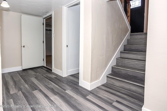 staircase featuring wood-type flooring