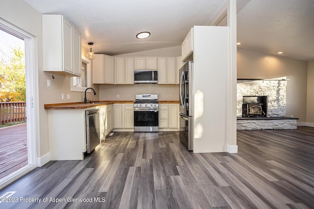 kitchen with vaulted ceiling, appliances with stainless steel finishes, dark hardwood / wood-style floors, a wood stove, and sink