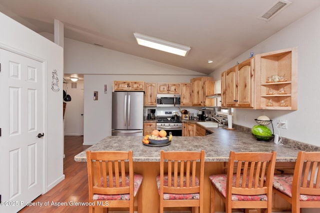 2939 Jon Hall Rd, Grand Junction, CO 81503 - kitchen with appliances with stainless steel finishes, lofted ceiling, a peninsula, a sink, and dark wood finished floors