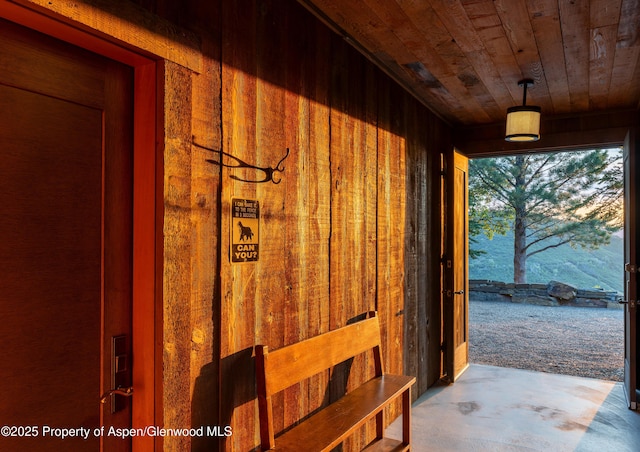 2500 Woody Creek Rd, Woody Creek, CO 81656 - photo 56