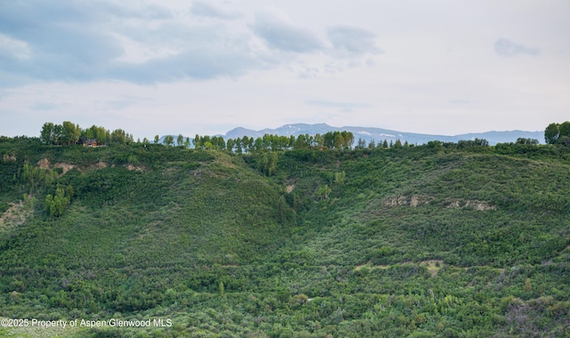 2500 Woody Creek Rd, Woody Creek, CO 81656 - photo 52
