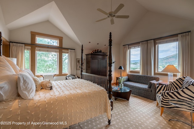 2500 Woody Creek Rd, Woody Creek, CO 81656 - photo 32