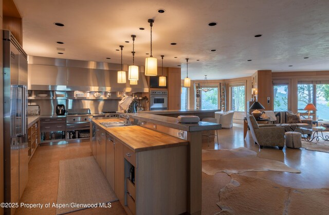 2500 Woody Creek Rd, Woody Creek, CO 81656 - photo 10