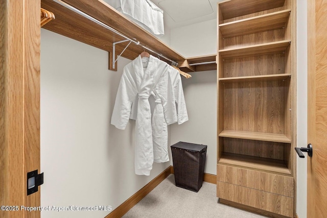77 Wood Rd Unit 507-10, Snowmass Village, CO 81615 - spacious closet with carpet flooring
