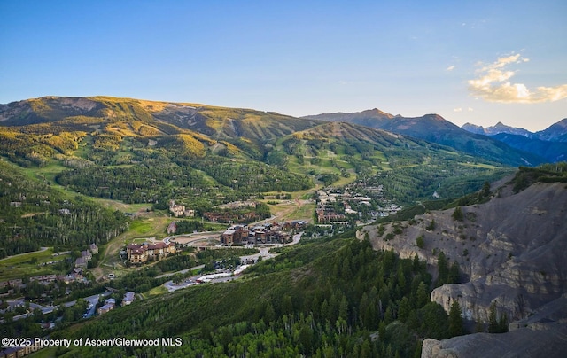 77 Wood Rd Unit 507-10, Snowmass Village, CO 81615 - mountain view