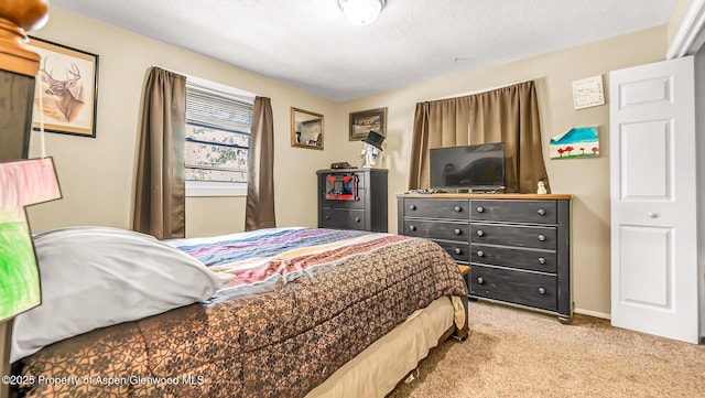 1028 Breeze St, Craig, CO 81625 - view of carpeted bedroom