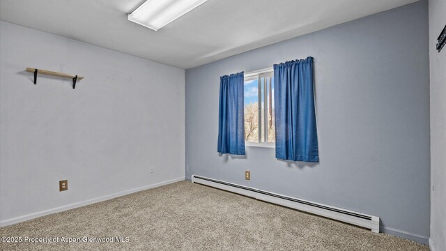 11434 County Road 320, Rifle, CO 81650 - photo 19