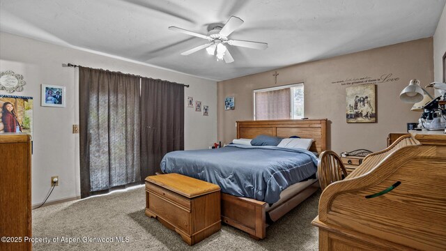 11434 County Road 320, Rifle, CO 81650 - photo 13