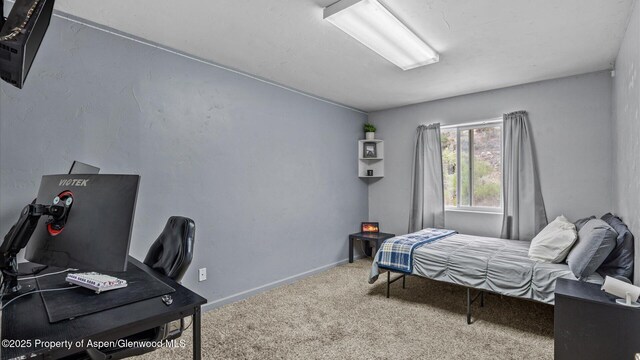 11434 County Road 320, Rifle, CO 81650 - photo 16