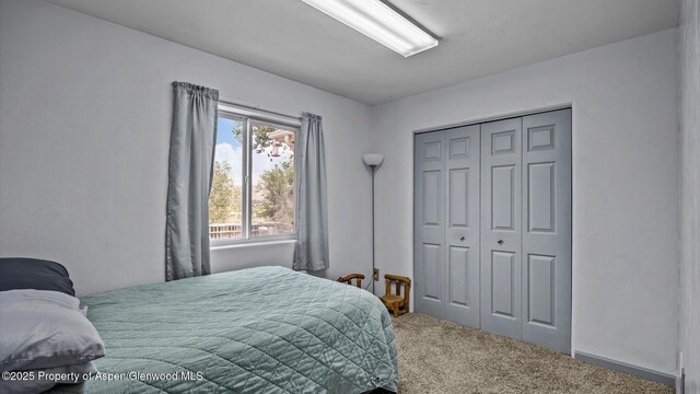 11434 County Road 320, Rifle, CO 81650 - photo 17