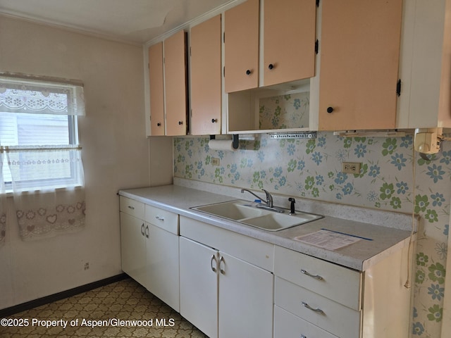 720 Taylor St, Craig, CO 81625 - kitchen featuring a sink, light countertops, light flooring, and ornamental molding