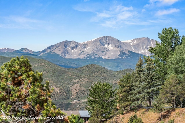 679 Pinon Dr, Basalt, CO 81621 - mountain view