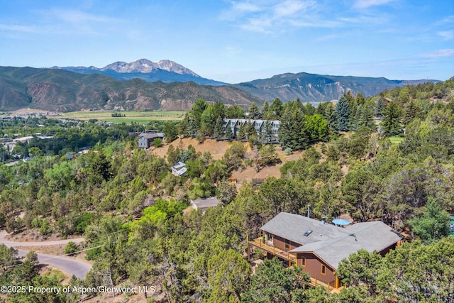 679 Pinon Dr, Basalt, CO 81621 - view of mountain backdrop