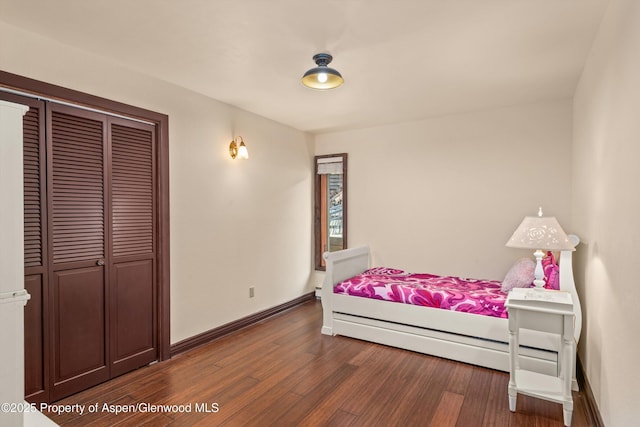 679 Pinon Dr, Basalt, CO 81621 - bedroom featuring wood finished floors and a closet