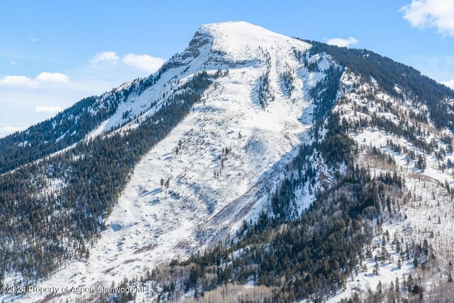TBD W Village Dr Lot A-1, Marble, CO 81623 - photo 44