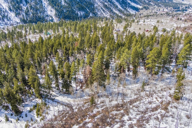 TBD W Village Dr Lot A-1, Marble, CO 81623 - photo 28