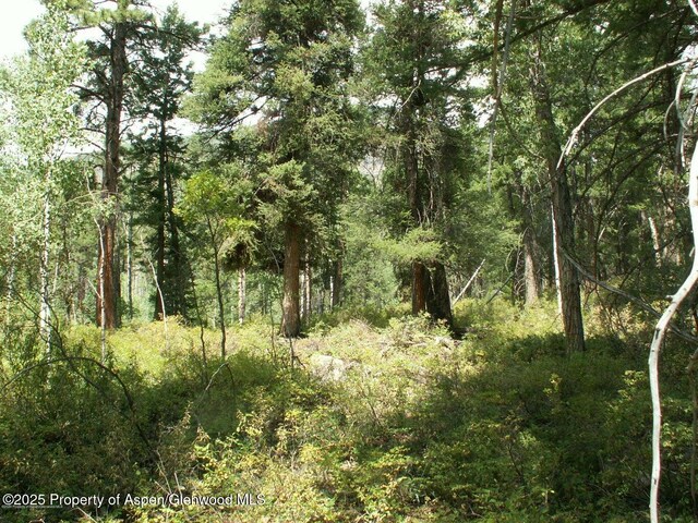 TBD W Village Dr Lot A-1, Marble, CO 81623 - photo 2